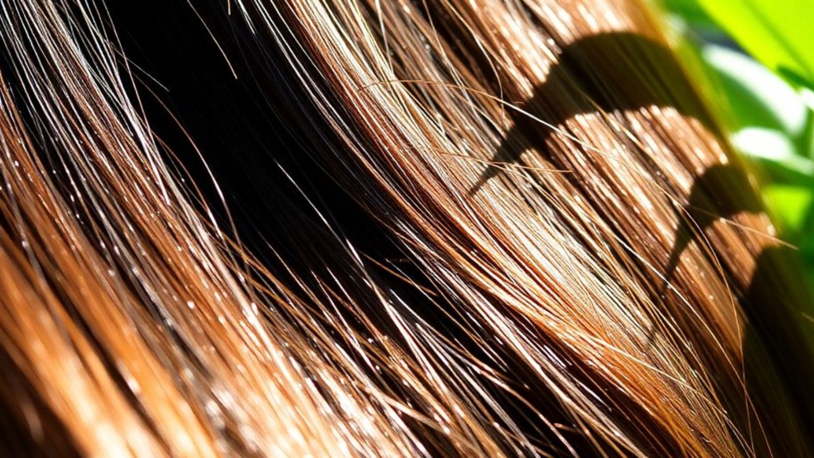 Cheveux brillants et sains sous la lumière du soleil.